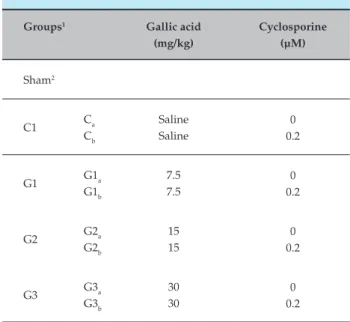 Table 1  –  Animals groups that have used in this study  (n= 10)