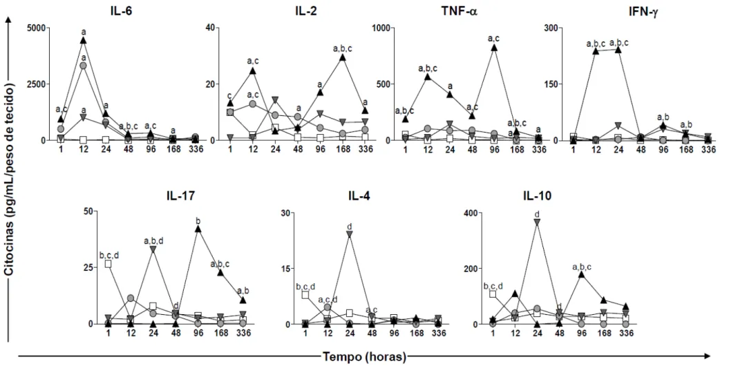 Figura 9: Cinética de citocinas pró e anti-inflamatórias (IL-6, IL-2, TNF-  IFN- IL-17, IL-4 e IL-10) no sobrenadante de macerado de pele de 