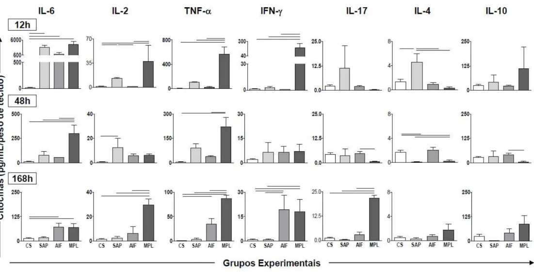 Figura 10: Análise detalhada da produção de citocinas pró e anti-inflamatórias (IL-6, IL-2, TNF-  IFN- IL-17, IL-4 e IL-10) no sobrenadante 