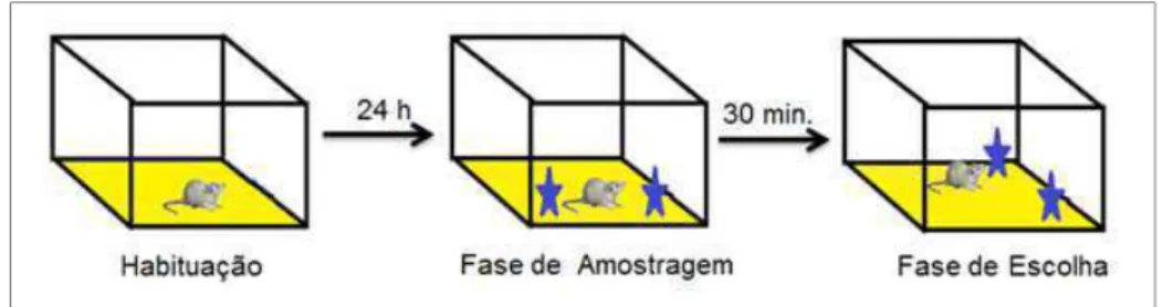 Figura 3: R ECONHECIMENTO  E SPACIAL DE  O BJETO   -    Imagem representativa das etapas do teste