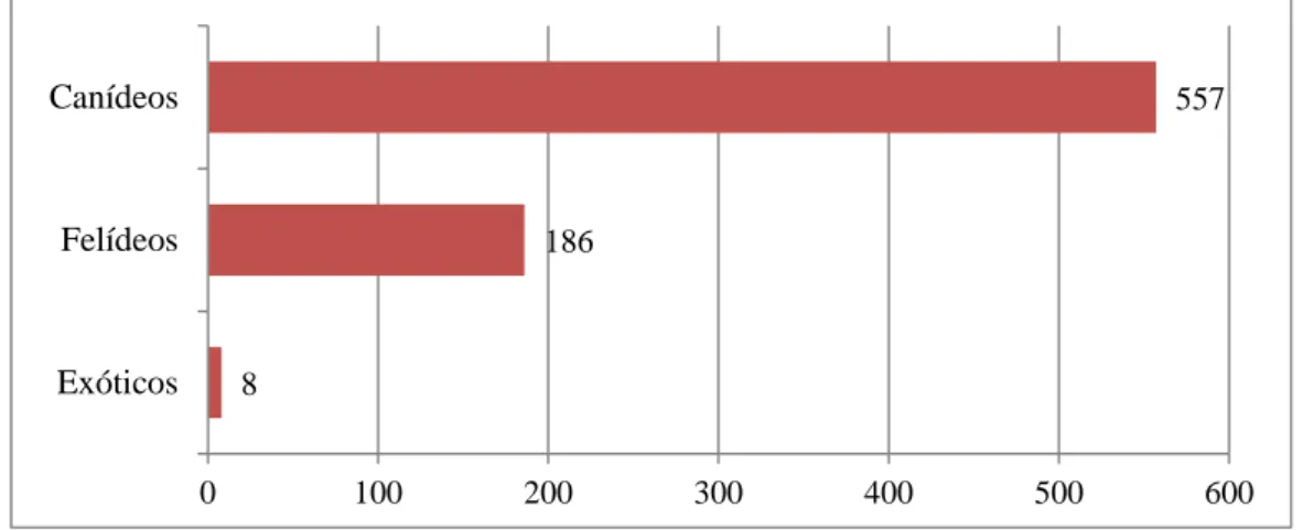 Gráfico 1 – Distribuição dos pacientes por espécie. (n=751) 