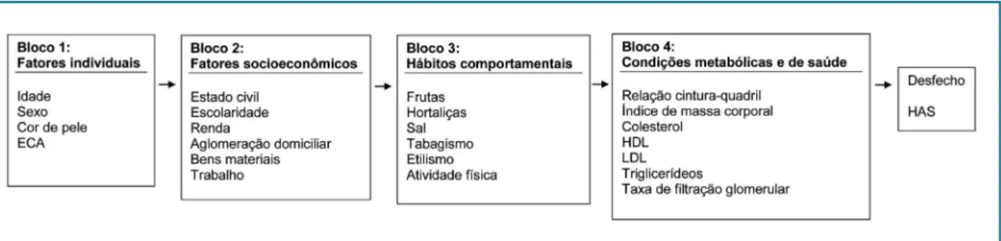 Figura 1 – Modelo hierarquizado das variáveis analisadas em idosos no município de Ibiaí, MG