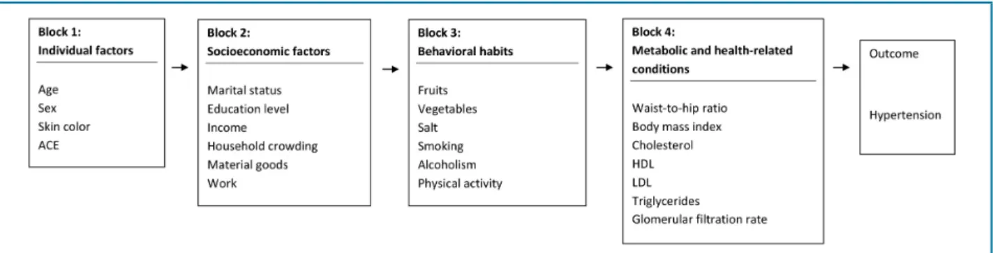 Figure 1 – Hierarchical model of variables analyzed in elderly individuals in Ibiaí municipality, MG