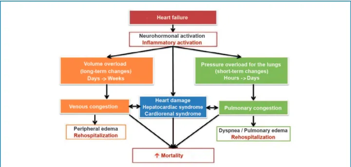 Figure 2 – Mechanisms of increased risk of death and rehospitalization in patients hospitalized for HF.