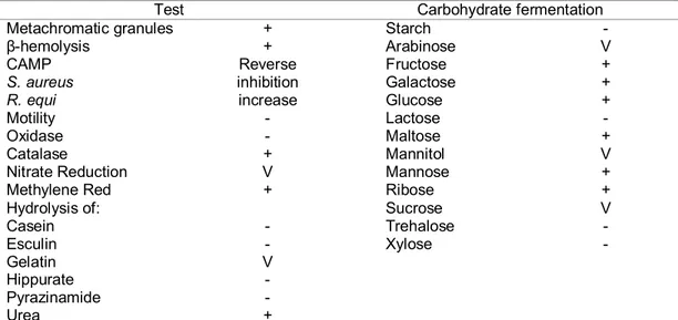 Table  1.  Principal  phenotypic  characteristics  of  Corynebacterium  pseudotuberculosis  used  for  identification