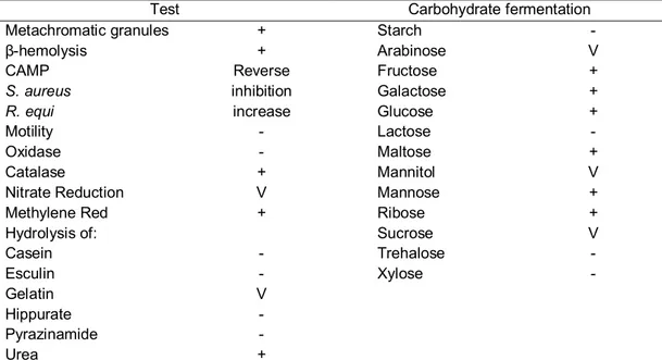 Table  2.  Principal  phenotypic  characteristics  of  Corynebacterium  pseudotuberculosis  used  for  identification