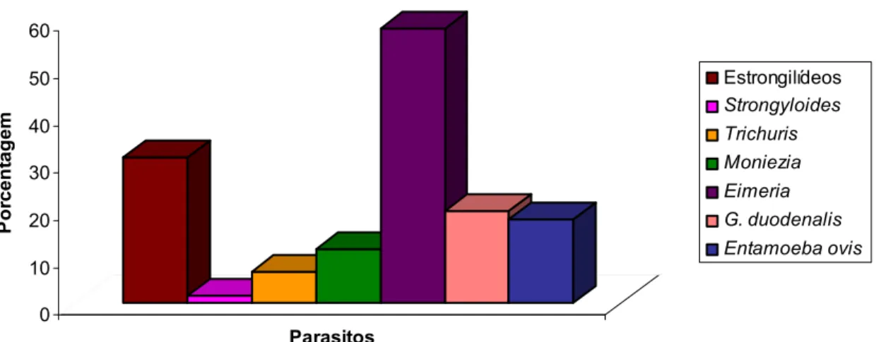 GRÁFICO 1: Prevalência de ovos, cistos e oocistos de parasitos gastrointestinais em ovinos traçadores, diagnosticados pela técnica de Lutz, no período de março de 2005 a julho de 2007, em amostras colhidas antes do tratamento, Lajes, RN