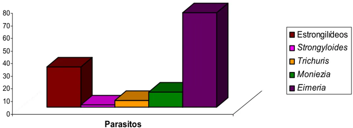 GRÁFICO 2: Prevalência de ovos, cistos e oocistos de parasitos gastrointestinais em ovinos traçadores, diagnosticados pela técnica de Lutz, no período de abril de 2005 a agosto de 2007, em amostras colhidas à necropsia, Lajes, RN