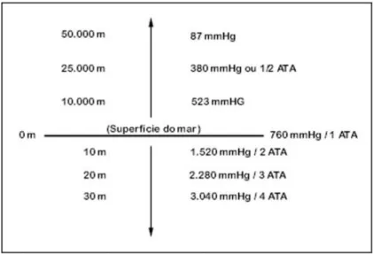Figura 7 – Variação da pressão sofrida por um corpo conforme sobe ou desce (mergulha) em  relação ao nivel do mar