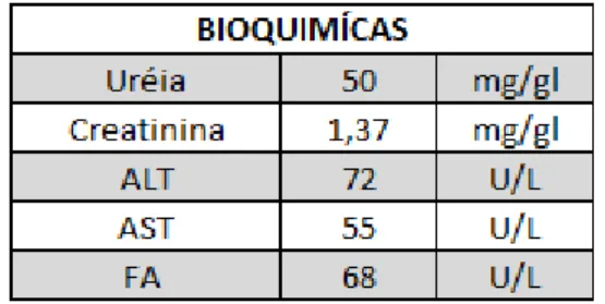 Tabela 4 – Análises bioquimícas Sasha, primeiro dia de internação. 