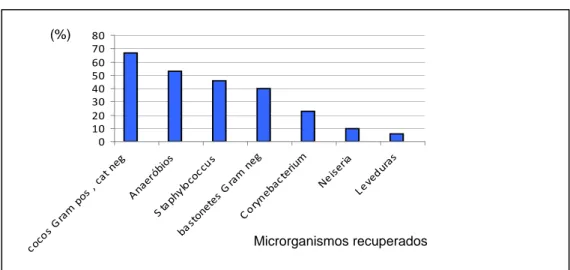 Gráfico 3 .  Prevalência total de microrganismos encontrados nos espécimes avaliados.