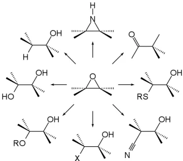 Figure 1.1: Possible outcomes from common reactions of epoxides.