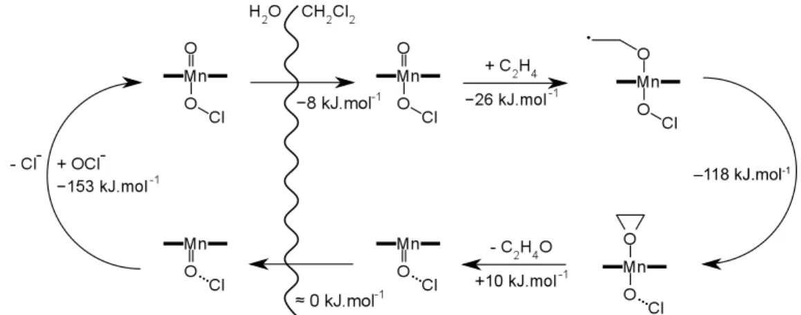Figure 1.11: Catalytic cycle of Mn(acacen’)ClO in a biphasic water/dichloromethane medium