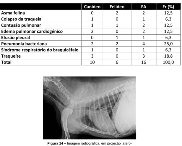 Tabela  16  –  Distribuição  dos  casos  clínicos  de  pneumologia  e  otorrinolaringologia,  por  espécie,  expressos  em  frequência absoluta (FA) e em frequência relativa (Fr), (n=16)