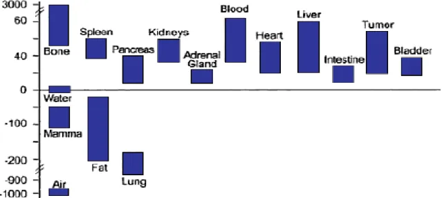 Figure 2.1 - HU values for different tissue types in human body. y-scale represents the HU scale [33]