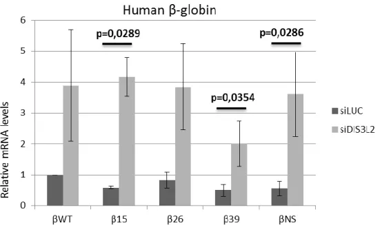 Figure 15  – RT-qPCR analysis  of Dis3L2 knockdown experiments  performed for  the Human β-globin gene