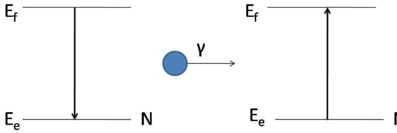 Figura 2.2: Emiss˜ao pelo n´ ucleo N e absor¸c˜ao pelo n´ ucleo N x do f´oton γ