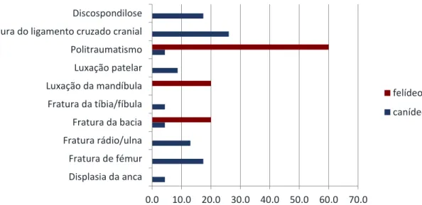Gráfico 9 - Representação esquemática das frequências relativas (distribuídas por espécie animal) das diferentes  patologias da área de traumatologia e ortopedia