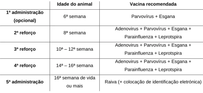Tabela 3 – Possível protocolo vacinal para a espécie canina praticado no HVR segundo  recomendações do VGG