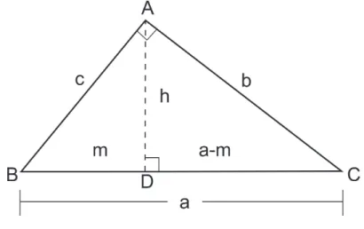 Figura 2.8: Triˆangulo qualquer