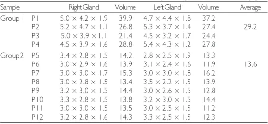 Table 1. Mensuration of irradiated and non-irradiated parotid glands from BR-1 Minipigs.