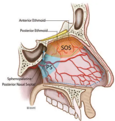 Fig. 1 Artist representation of the room setup for endoscopic endonasal transsphenoidal surgery