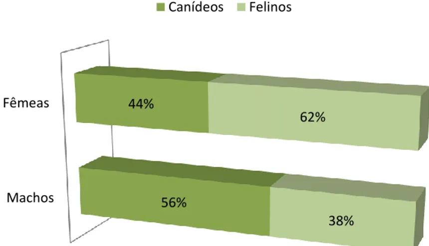 Gráfico 2. Relação percentual dos animais acompanhados no serviço de consultas  externas, segundo o género