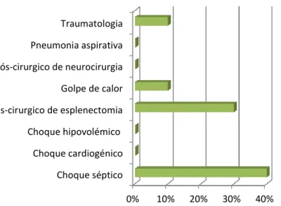 Gráfico 7. Distribuição percentual dos casos acompanhados no serviço de cuidados  intensivos