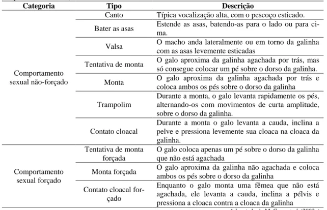Tabela  2.  Categoria,  tipo  e  descrição  das  manifestações  do  comportamento  sexual  de  galos  domésticos  (adaptado da literatura) 
