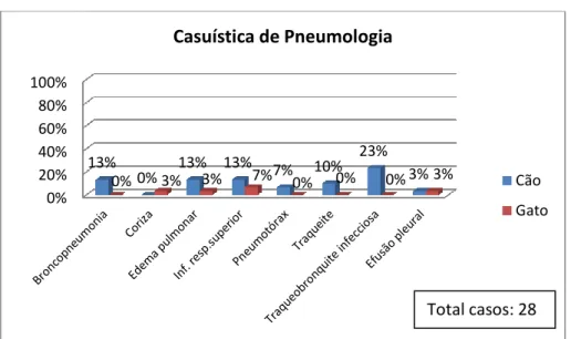 Gráfico 13 - Percentagem das várias afecções da área de pneumologia 