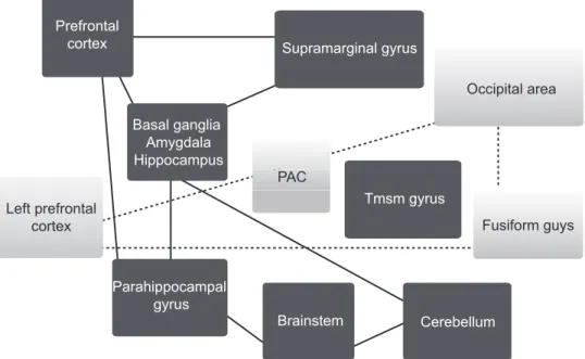 Fig. 1 Red boxes/solid lines indicate areas of increased functional connectivity: amygdala, prefrontal cortex, supramarginal areas, temporal medium supra marginal gyrus (tmsm), brainstem, basal ganglia, hippocampus, left para hippocampal areas, and cerebel