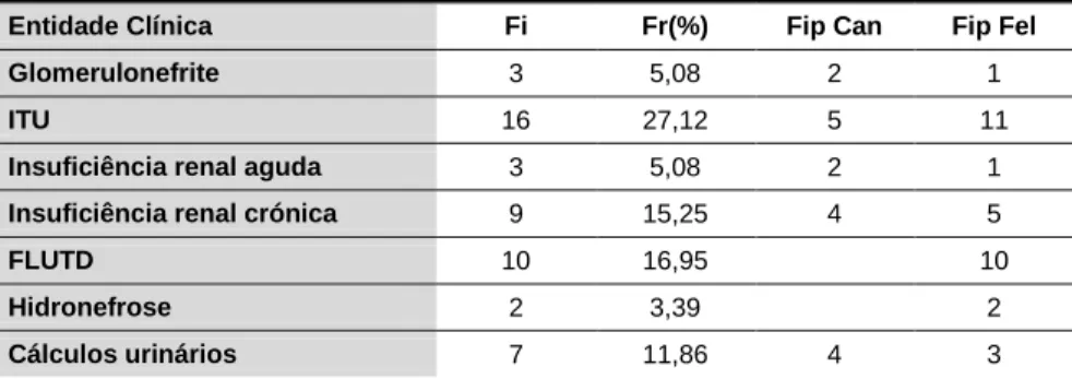 Tabela 8 - Distribuição de Fr (%), Fi e Fip das diferentes afeções urológicas (n=59). 