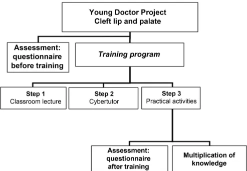 Fig. 1 Organizational chart of procedures performed during the Young Doctor Project in cleft lip and palate.