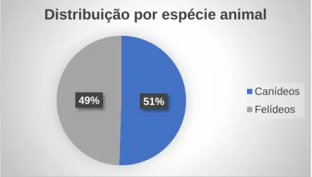 Gráfico 1. Distribuição dos casos observados por espécie animal (n=852) 49%51%