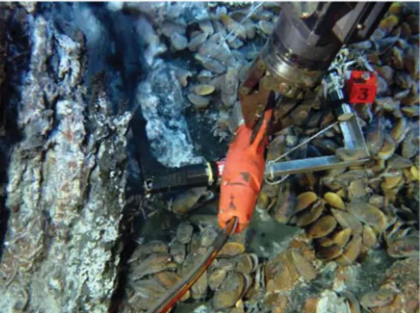 Fig. 3.  In situ analysis using Alchimist manipulated by  the ROV Victor, Atos cruise 2001, Lucky Strike
