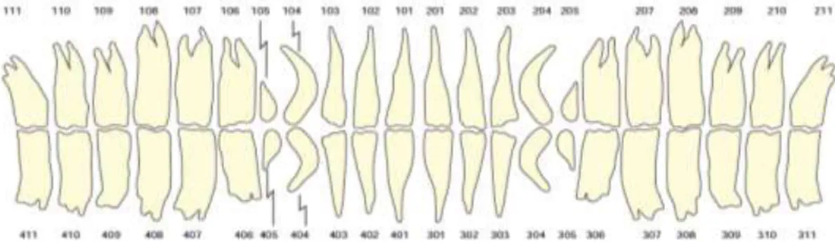 Figura 2: Esquema ilustrativo do sistema de triadan. Adaptado de Easley, et al. 2011