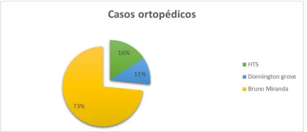 Gráfico 8: Distribuição dos casos de ortopedia nos três locais de estágio