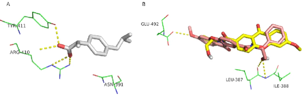 Figure  3.  Interactions  of  crystallographic  (S)-ibuprofen  (yellow  sticks)  (A)  and  docked  CDX1  enantiomers  (B)  with  HSA