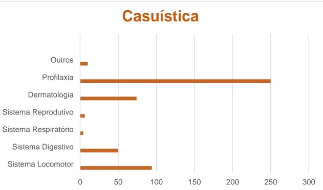 Figura 7- Gráfico ilustrativo da casuística distribuída pelas diversas áreas assistidas 