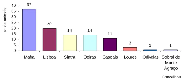 Gráfico 2 – Distribuição geográfica da amostra por concelhos do distrito de Lisboa.  37 20 14 14 11 3 1 1 0510152025303540
