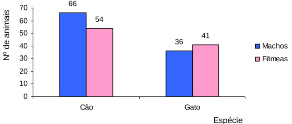 Gráfico 3 – Espécies representadas na amostra, por sexo.  66 3654 41 010203040506070 Cão Gato MachosFêmeas