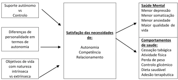 FIGURA 1:Modelo de mudança de comportamento de saúde da TAD, adaptado de Ryan, Patrick, Deci  e Williams (2008) 