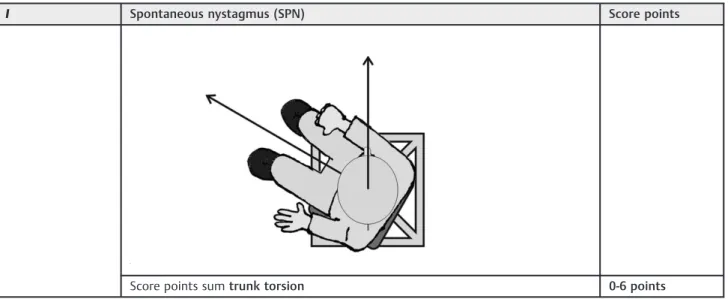 Fig. 4 The ﬁ gure illustrates the documentation of the nystagmus (horizontal nystagmus and vertical nystagmus) under static trunk excursion on the 3-D-trunk-excursion chair
