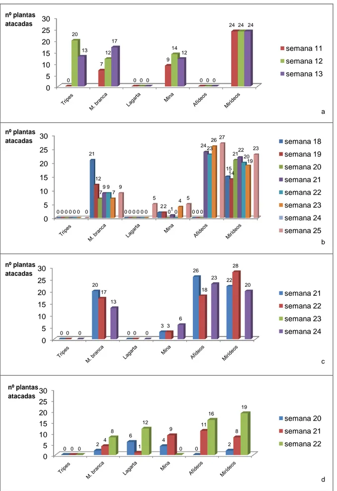 Fig. 8 – Evolução da incidência das pragas (ou sinais da sua presença) e de mirídeos ao longo das semanas: a)  Parcela  1  de  São  Jorge,  b)  Parcela  2  de  São  Jorge,  c)  Parcela  de  São  Domingos,  d)  Parcela  de  Tarrafal  –  amostragem de três f