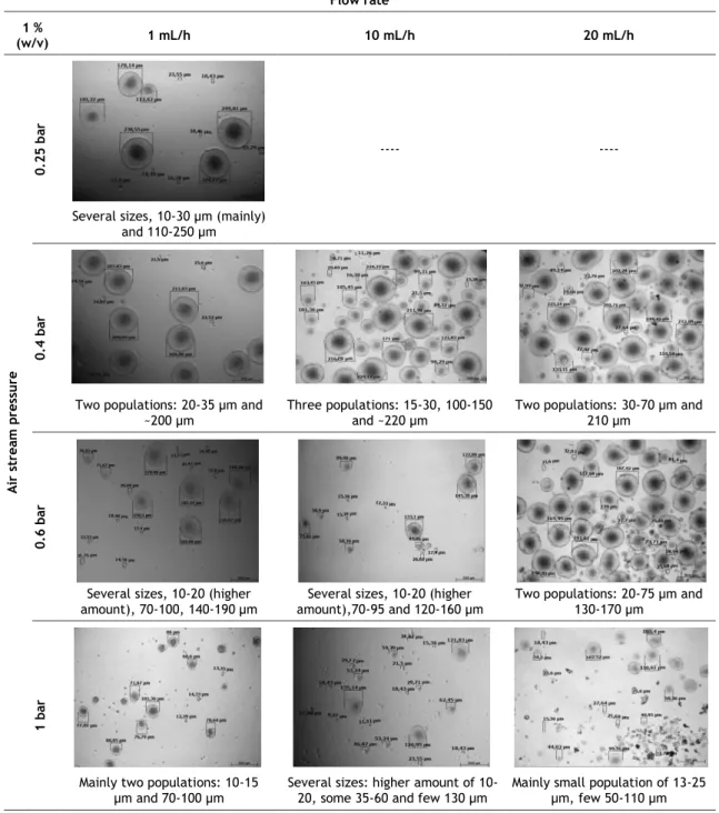 Table  8  -  Chitosan  microspheres  images  obtained  by  optical  microscopy  (scale  bar  200  µm)