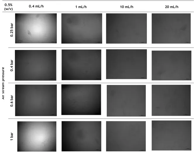 Table  10  -  Chitosan  microspheres  images  obtained  by  optical  microscopy  (scale  bar  200  µm)