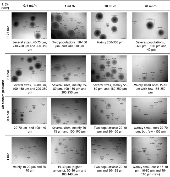 Table  12  -  Chitosan  microspheres  images  obtained  by  optical  microscopy  (scale  bar  200  µm)