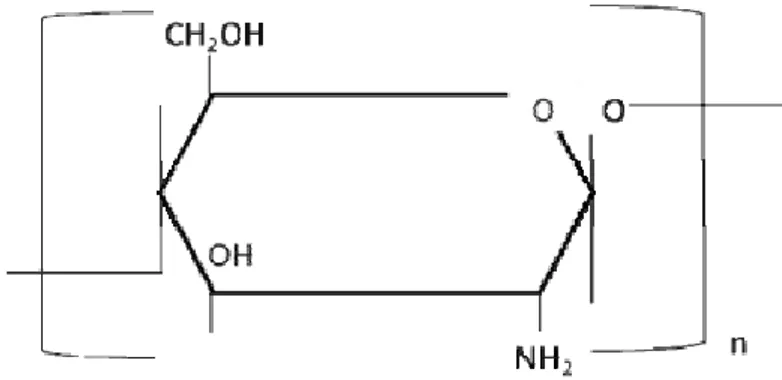 Figure 1. 1. Structure and molecular formula of chitosan. 