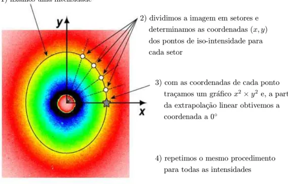 Figura 2.8: Exemplo de uma imagem captada para um ferrogel com campo magn´etico: