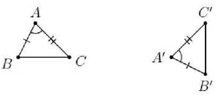 Figura 1.5: dois triˆangulos congruentes.